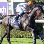 Hey Doc winning the Winterbottom Stakes.