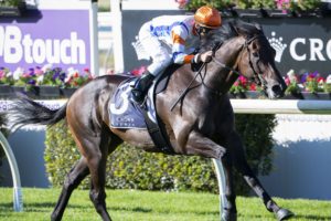 Hey Doc winning the Winterbottom Stakes.