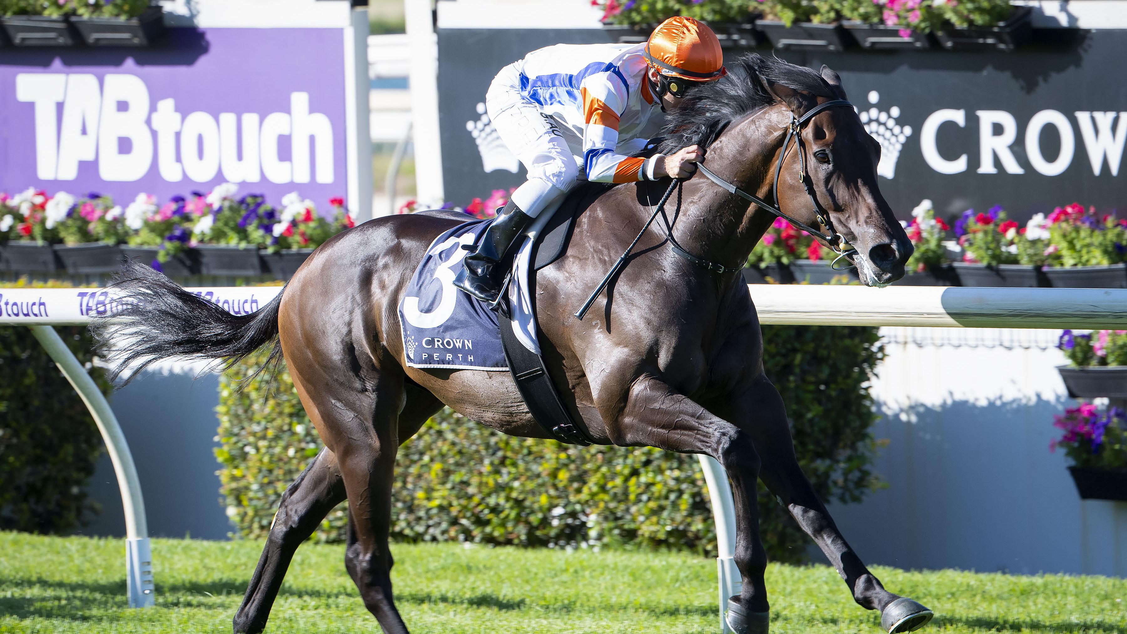 Hey Doc winning the Winterbottom Stakes.